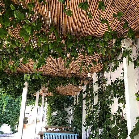 Pensionat Casa Stavros *