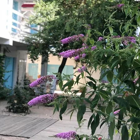 Casa Stavros * Două Mai