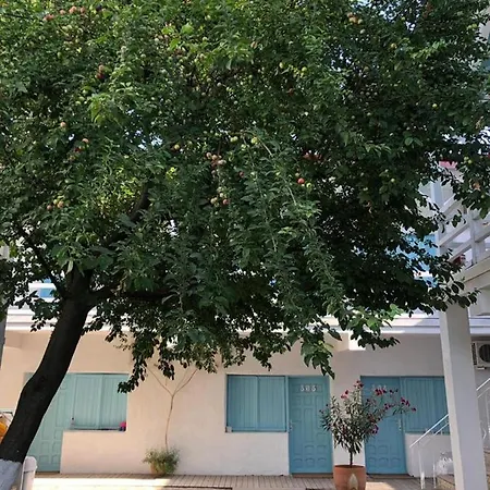 Pensionat Casa Stavros Două Mai