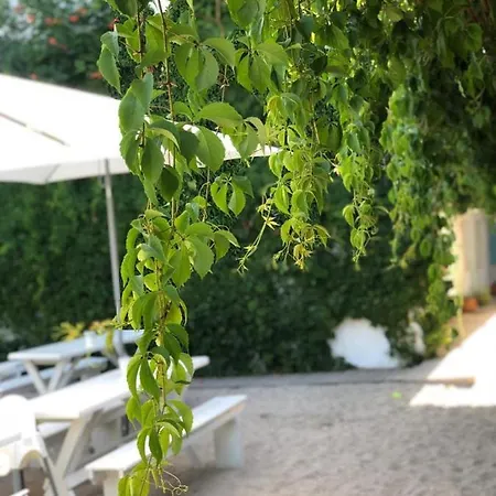 Casa Stavros *