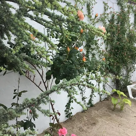 Casa Stavros Două Mai