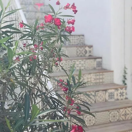 Casa Stavros 3* Două Mai