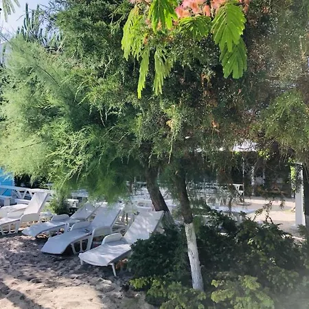 Pensionat Casa Stavros *